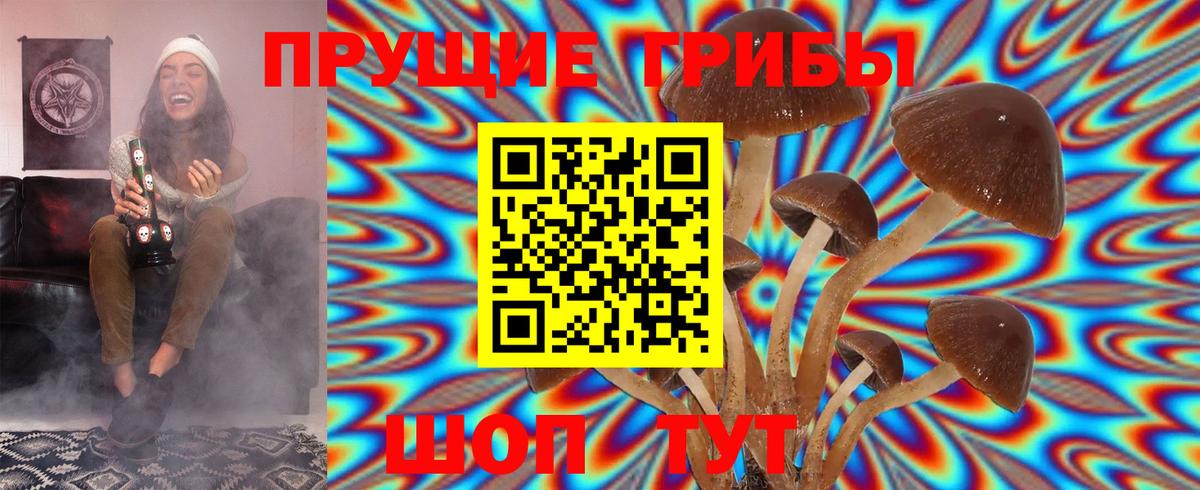 Псилоцибиновые грибы GOLDEN TEACHER Елабуга