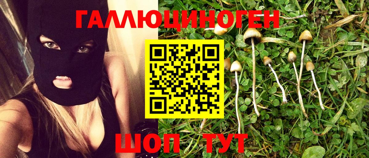 Елабуга  Галлюциногенные грибы GOLDEN TEACHER  Галлюциногенные грибы мухоморы  Вход с VPN 